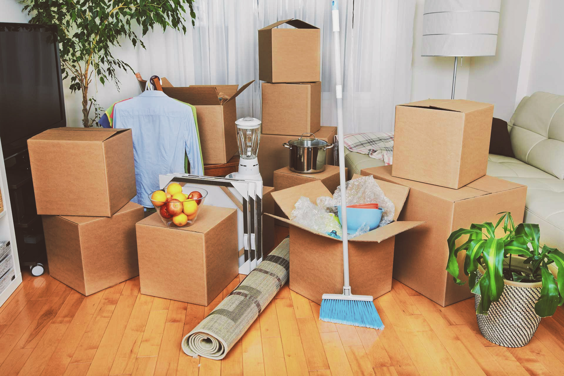 Move in and move out cleaning